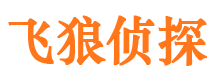 罗江市私家侦探